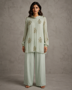 IHSAR Mint Green Sequins Georgette Top in Mint Green – top with gold sequin embroidery