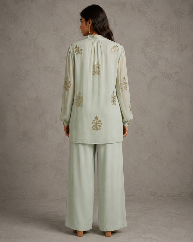 IHSAR Mint Green Sequins Georgette Top in Mint Green – back view